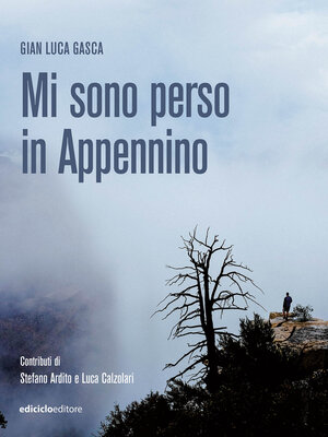 cover image of Mi sono perso in Appennino